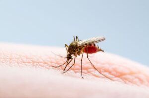 Malaria Treatment in Hindi
