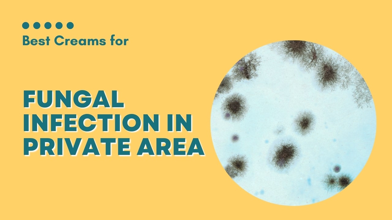 Best Creams for fungal infection in private area – Buy Fungal Infection Creams Online