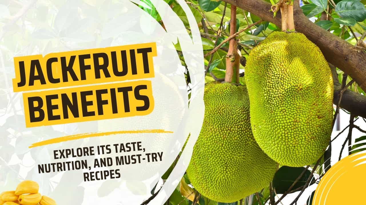 Jackfruit Benefits : Explore Its Taste, Nutrition, and Must-Try Recipes