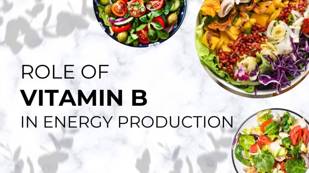 role of vitamin b