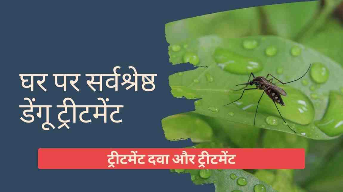 घर पर सर्वश्रेष्ठ डेंगू ट्रीटमेंट – ट्रीटमेंट दवा और ट्रीटमेंट, Best Dengue Treatment in Hindi