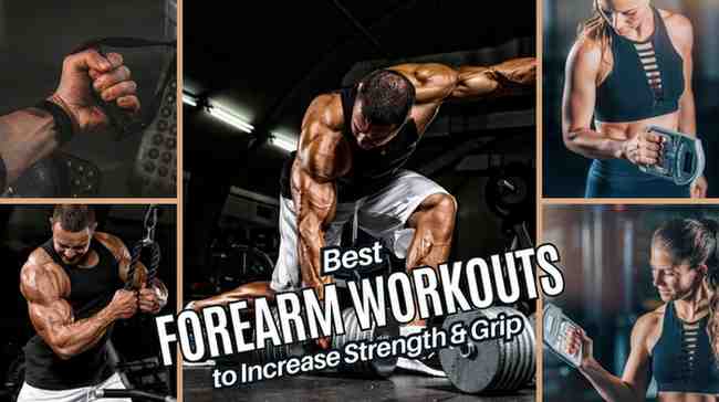 Best Forearm Workouts to Increase Strength & Grip