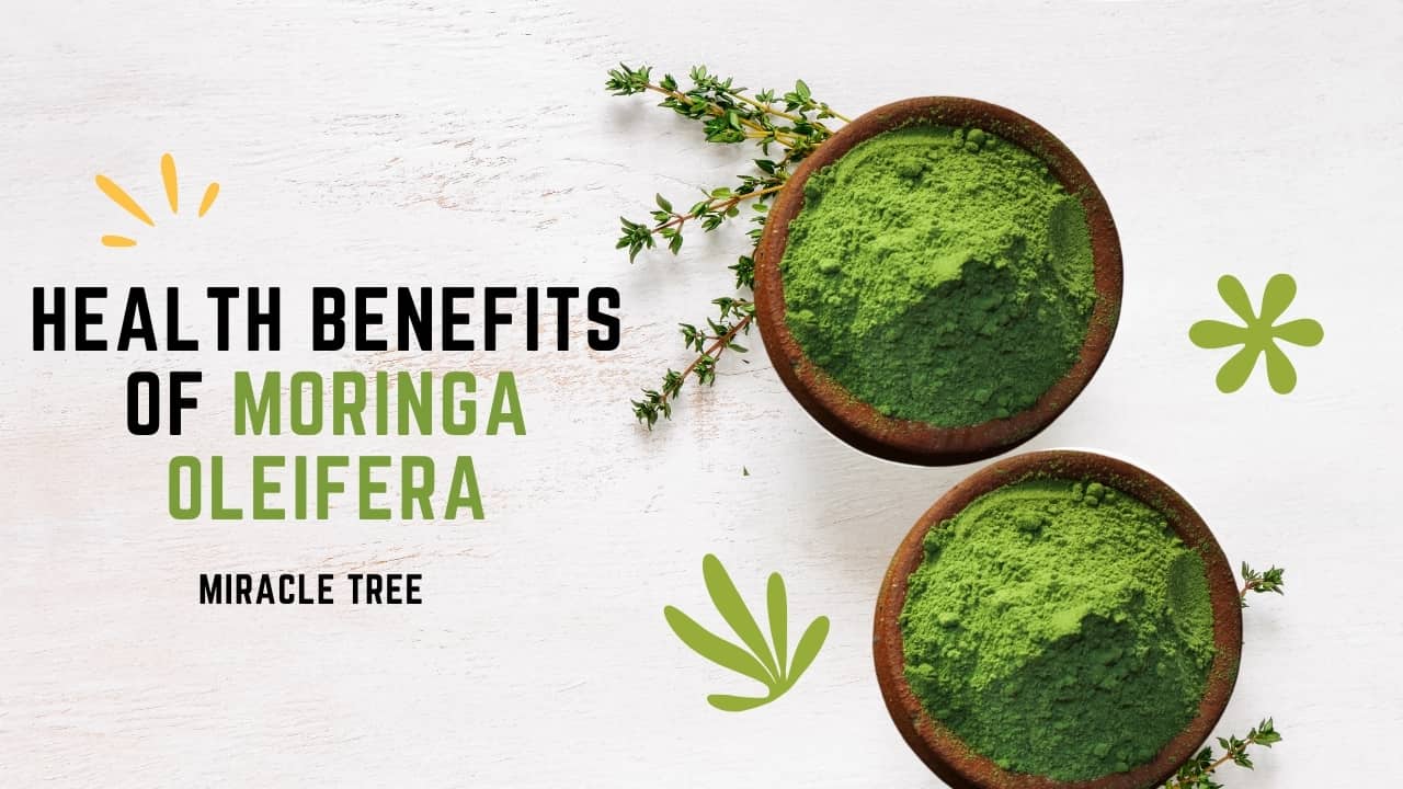 Health Benefits of Moringa Oleifera: Miracle Tree