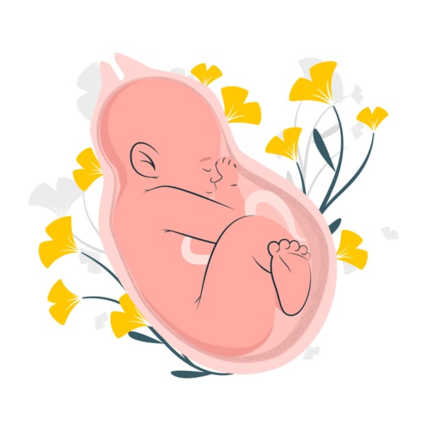 Maximum How Many Days to confirm Pregnancy