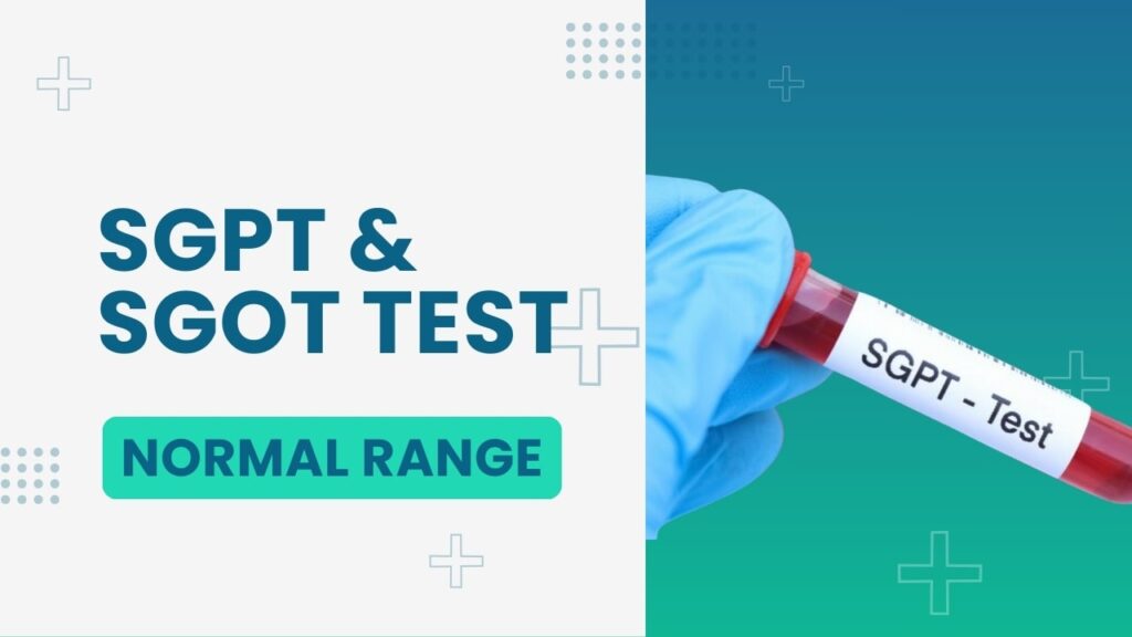 the danger level of sgpt and sgot