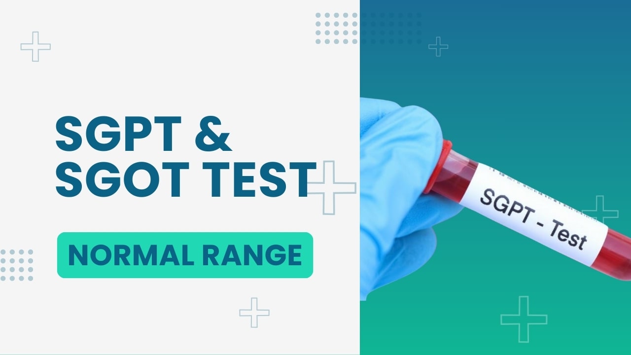Danger Level of SGPT and SGOT – SGPT & SGOT Test Normal Range