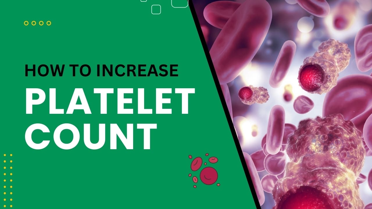 How to Increase Platelet Count? Ways to Increase Platelet Count Naturally