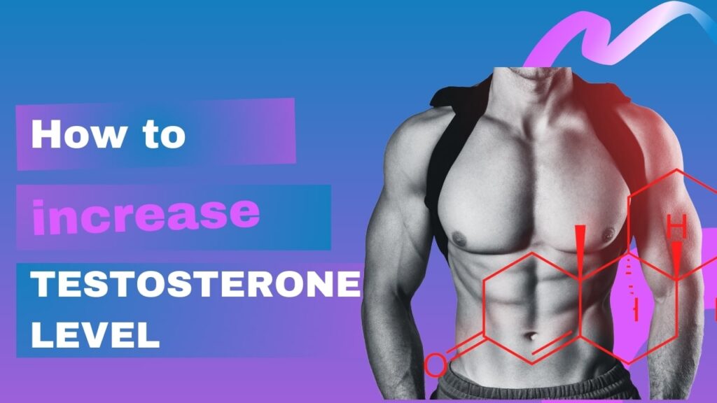 how to increase testosterone level