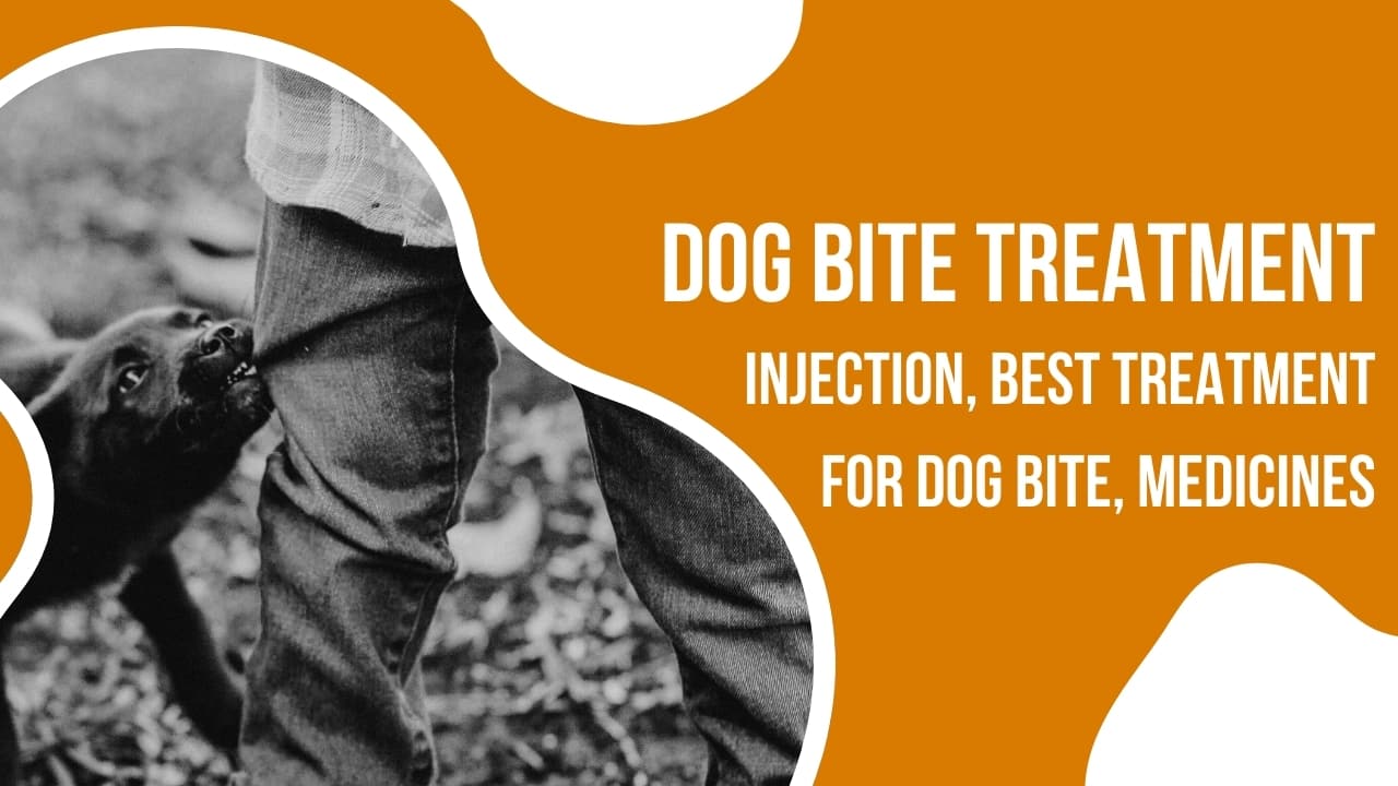 Dog Bite Treatment: Injection, Best Treatment for Dog Bite, Medicines
