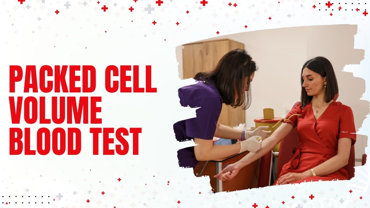 What is PCV in Blood Test? – Packed Cell Volume Blood Test