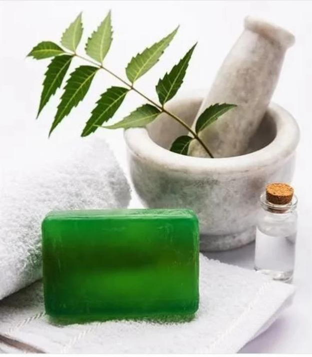 Benefits of neem