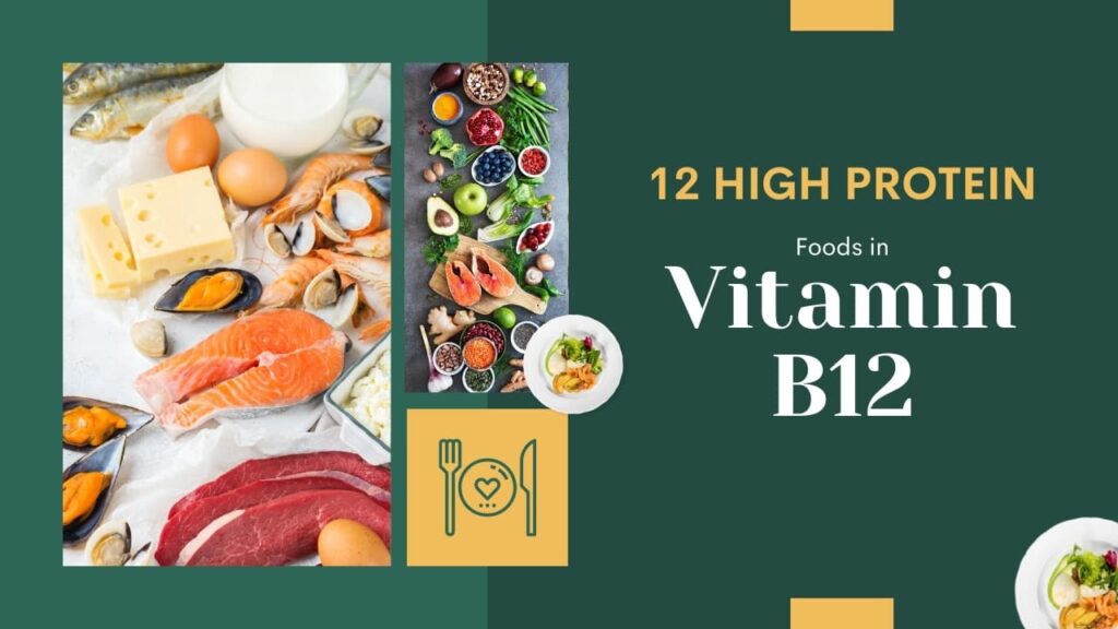 high protein foods with vitamin b12